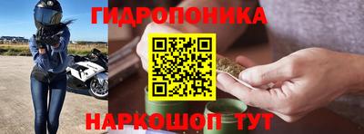 PSILOCYBIN Кулебаки