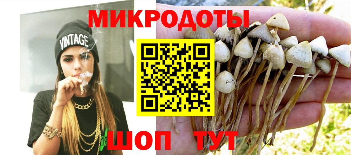Галлюциногенные грибы Cubensis Десногорск