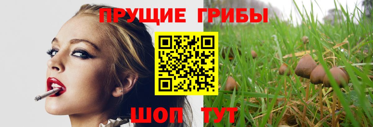 Галлюциногенные грибы Psilocybine cubensis  Вход с VPN  магазин продажи   Десногорск 